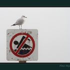 La Vigilante de la Playa