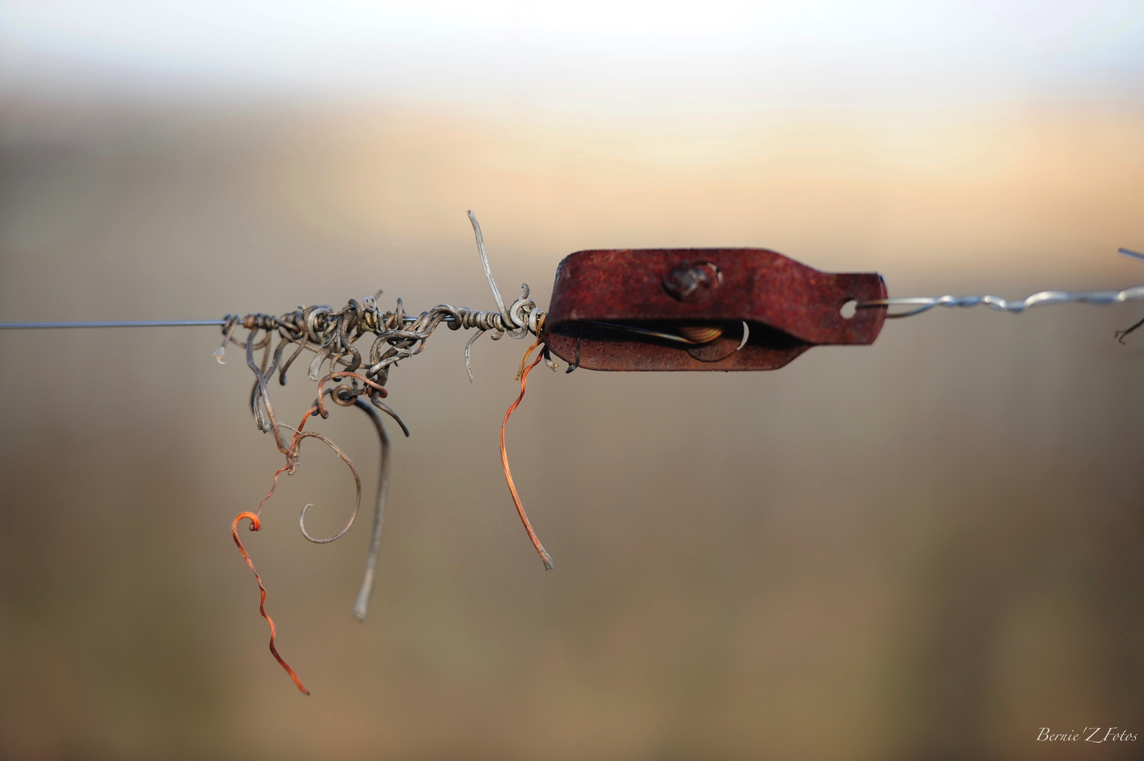 La vigne - accessoires et vestiges