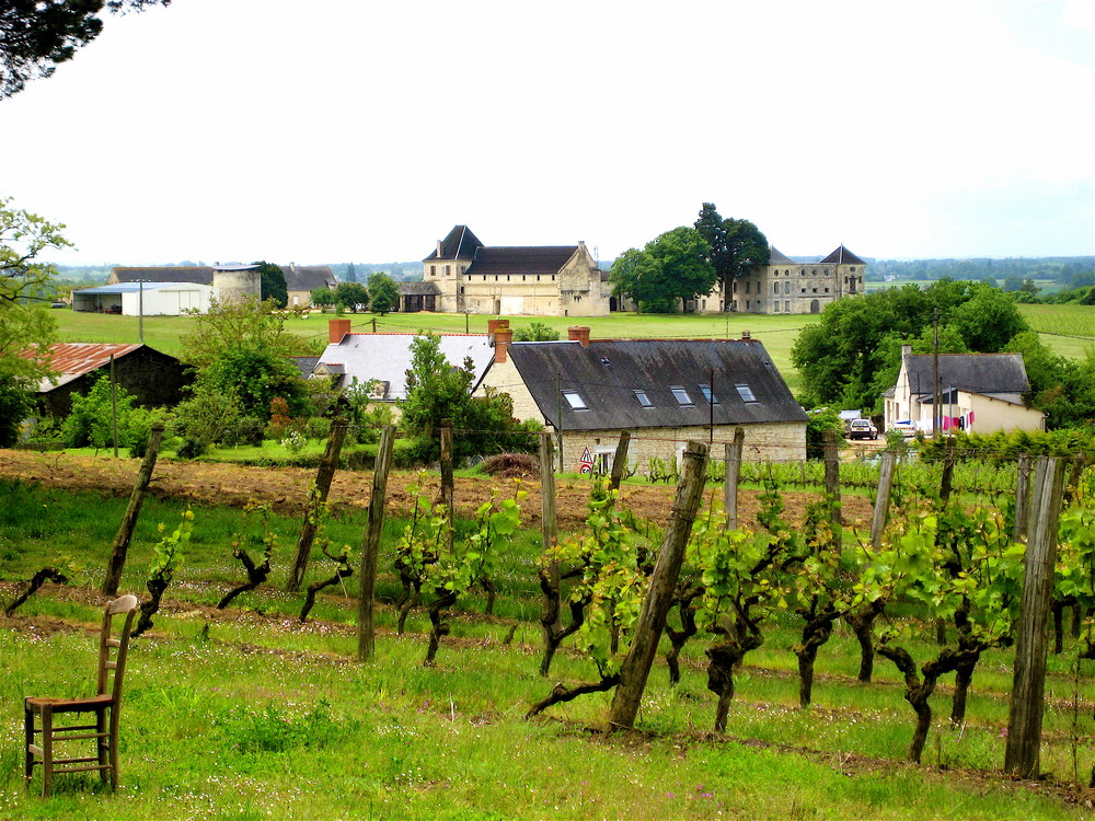 La Vigne d'Anjou ...