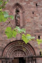 la vigne et l'histoire