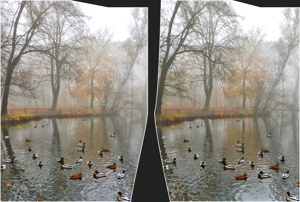 La villa comunale e la nebbia 3D