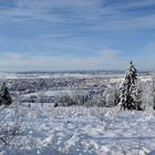 La ville de Pontarlier ( Doubs ) vue depuis la Larmont.