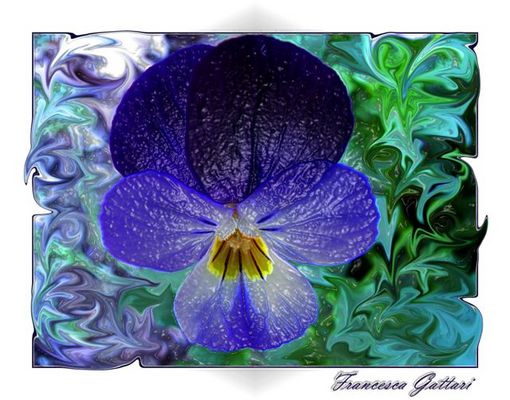 La viola del pensier rivisitata..