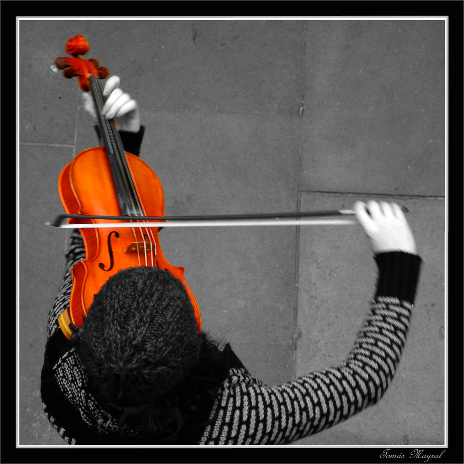 La Violinista