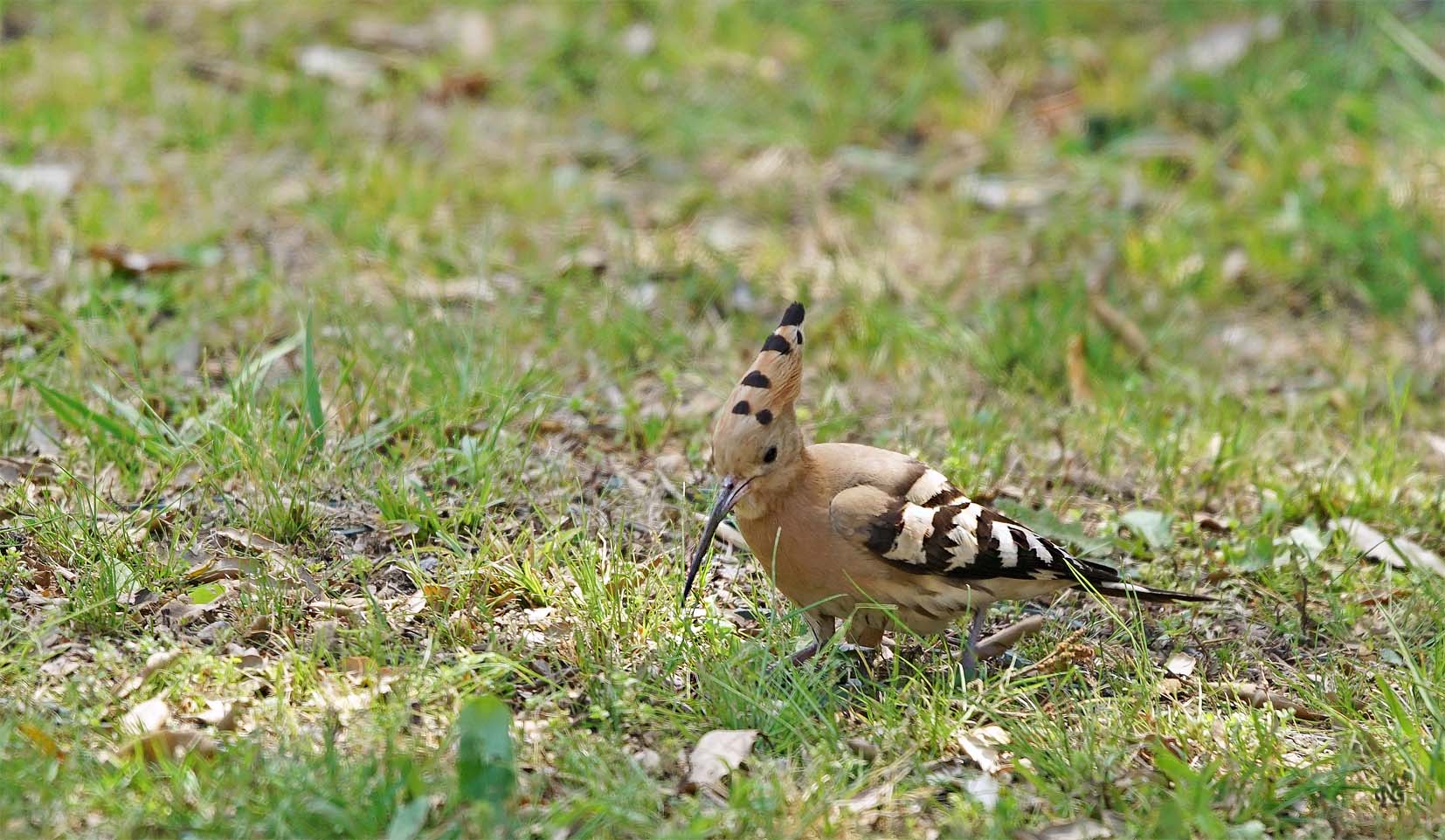 La visite du jour à domicile !!!!!