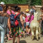 la visite du zoo