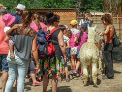 la visite du zoo