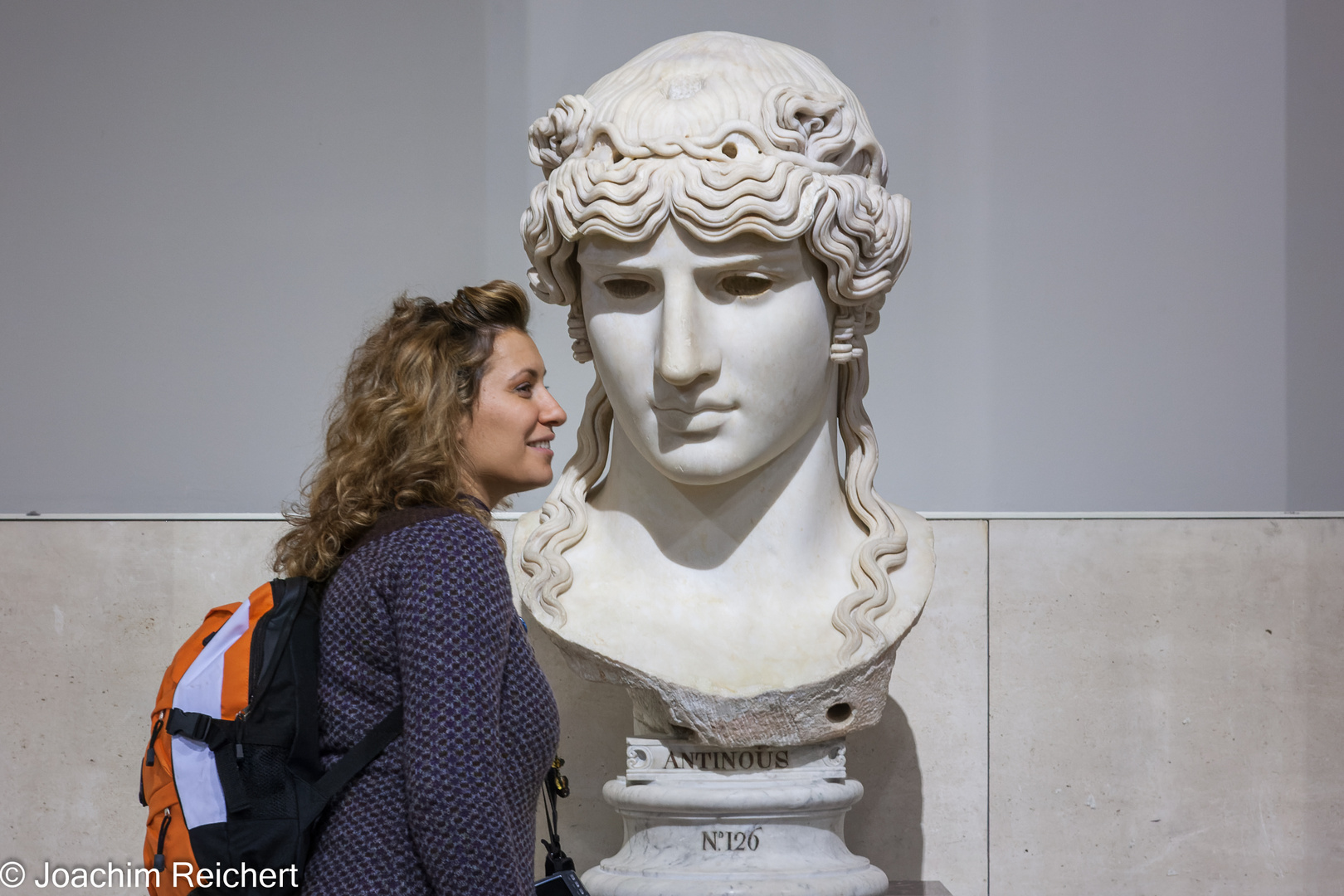 La visiteuse du Louvre de Paris