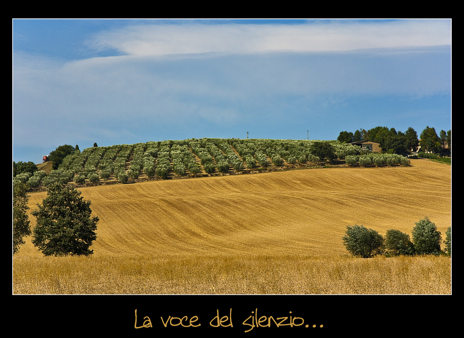 La voce del silenzio...