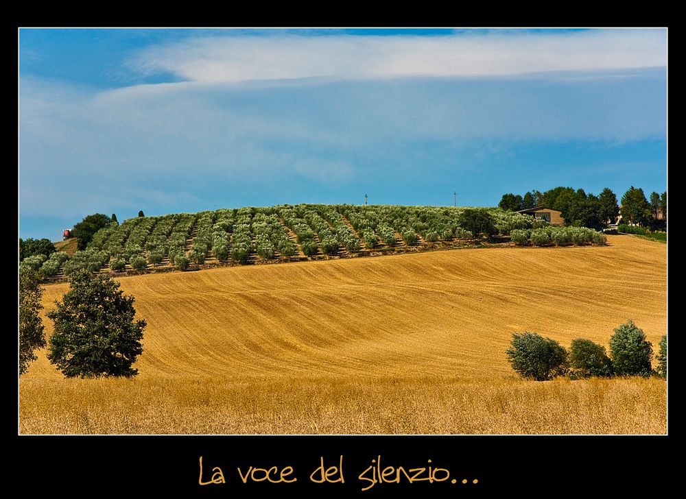 La voce del silenzio...