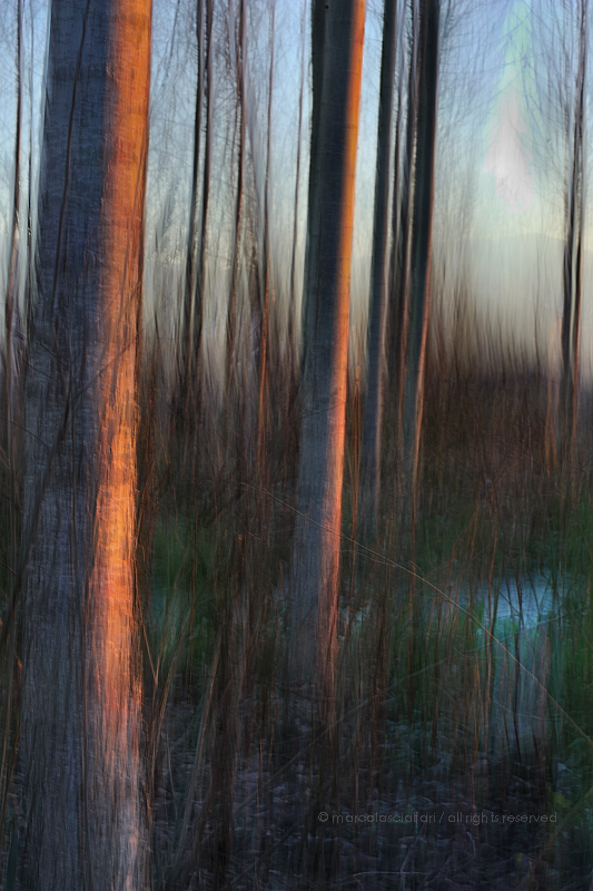 La voce disambigua Foto Immagini astrazioni, soggetti Foto su