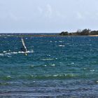 La voie est libre !  -- Nouméa, Anse Vata  --  Freie Bahn haben !