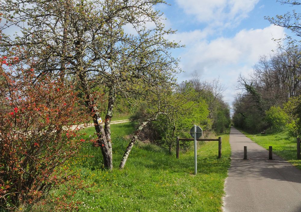 La voie verte au printemps