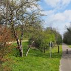 La voie verte au printemps