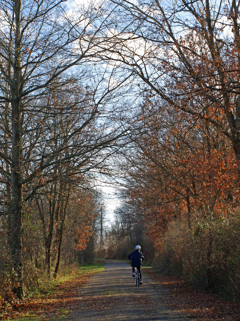 La voie verte aux couleurs de l‘hiver