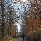 La voie verte aux couleurs de l‘hiver