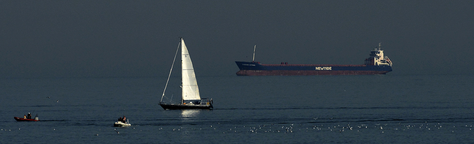 La voile blanche