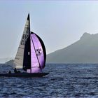 la voile mauve....