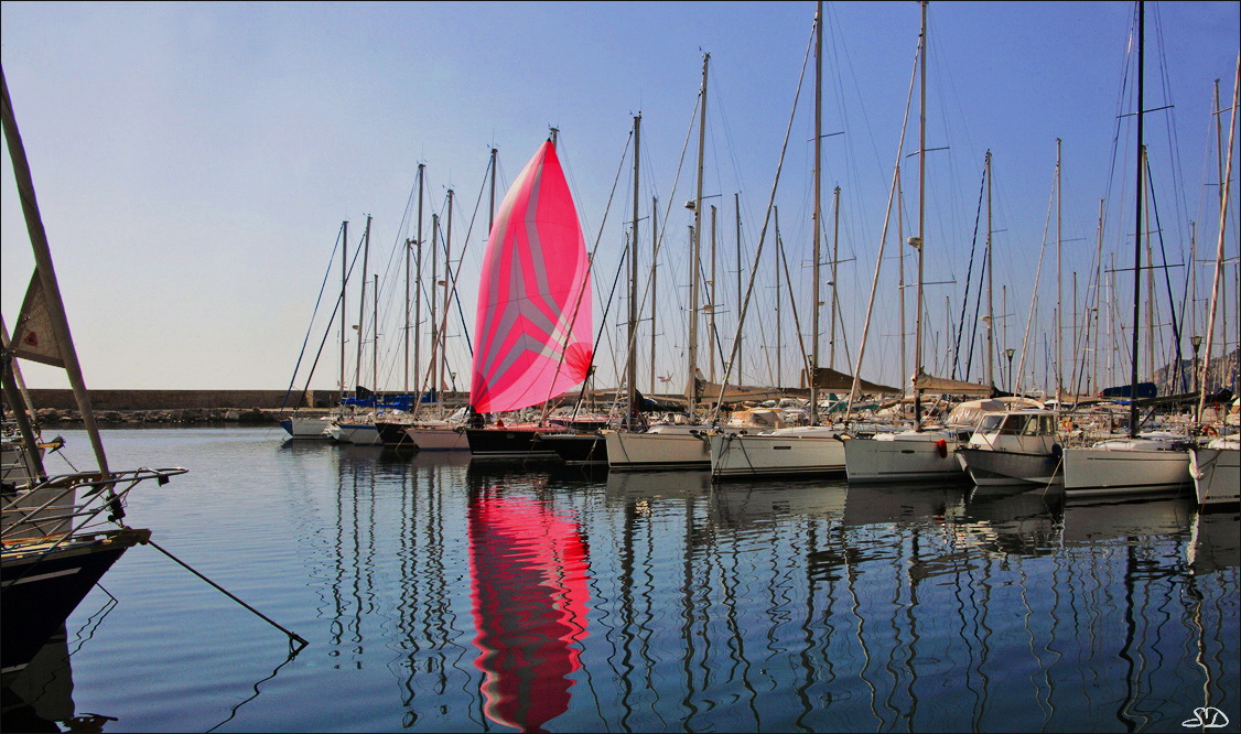 La voile rose