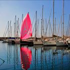 La voile rose