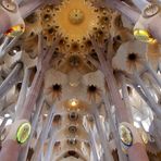 La voûte et les colonnes de la Sagrada Familia