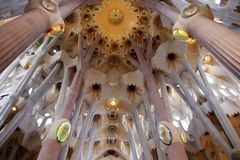 La voûte et les colonnes de la Sagrada Familia