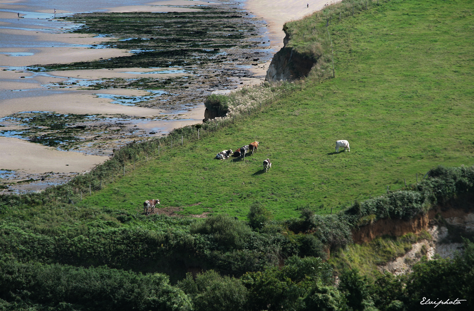 la vue depuis le cimetière marin