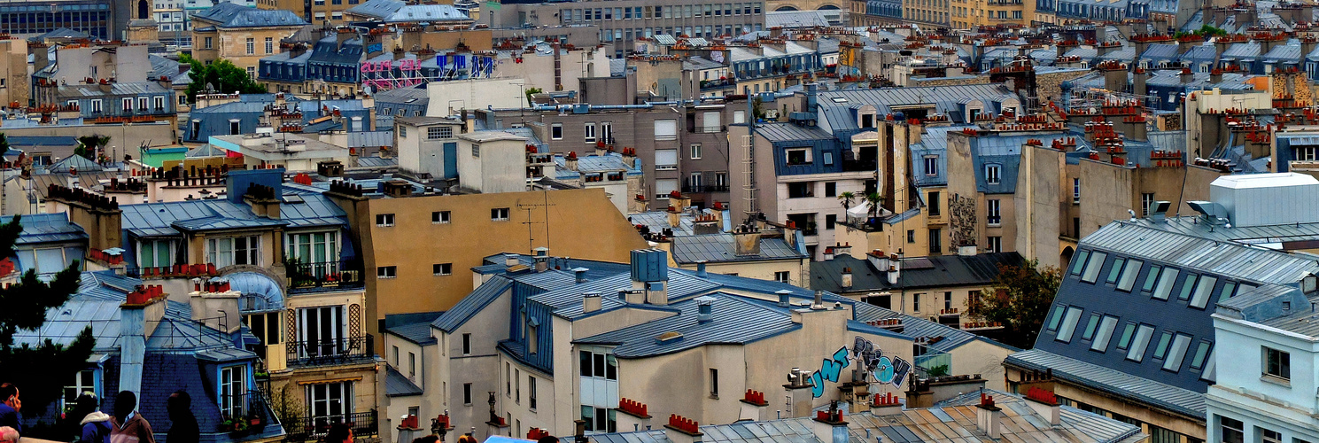 La vue parisienne