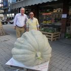 la zucca gigante Alma