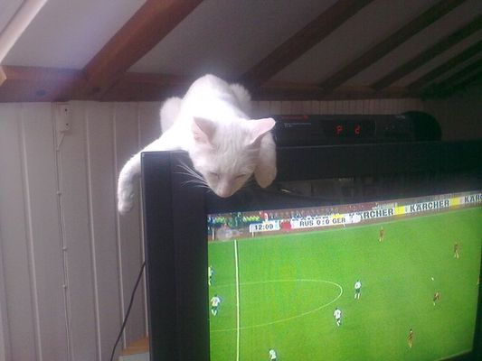 laaaaaaaangweilig ;-)