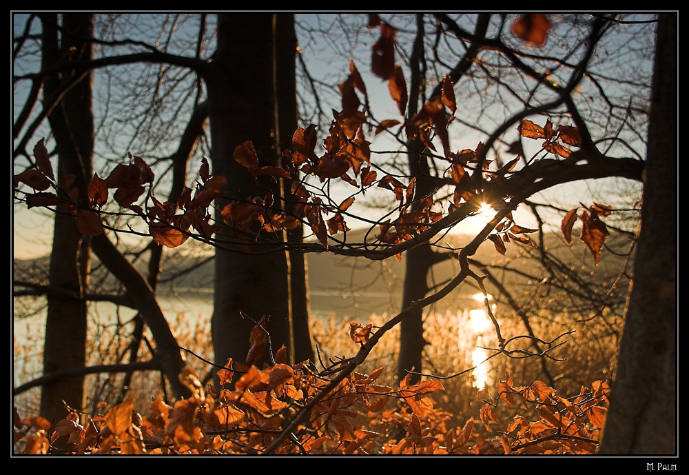 [ Laacher See ]