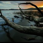 Laacher See