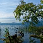 Laacher See