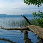 Laacher See