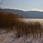 Laacher See #4