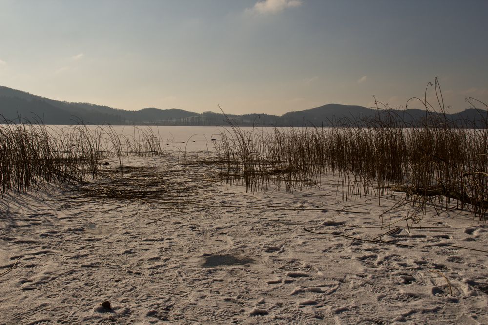 Laacher See