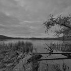 Laacher See