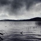 Laacher See