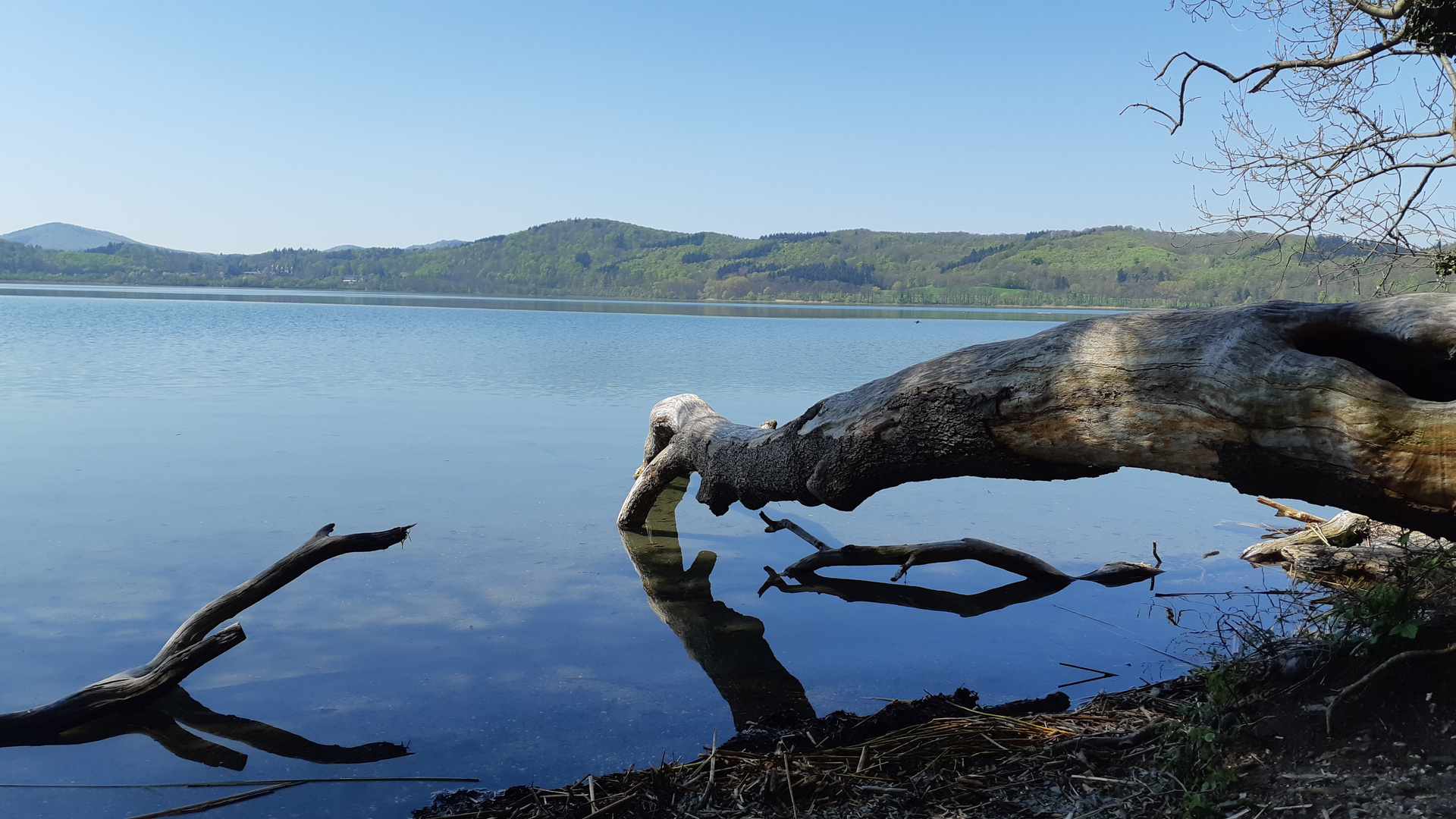 Laacher See