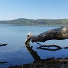 Laacher See