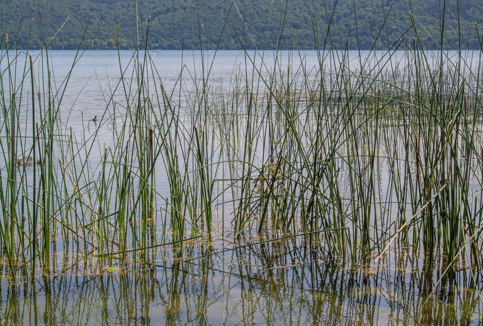 Laacher See