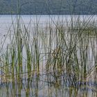 Laacher See