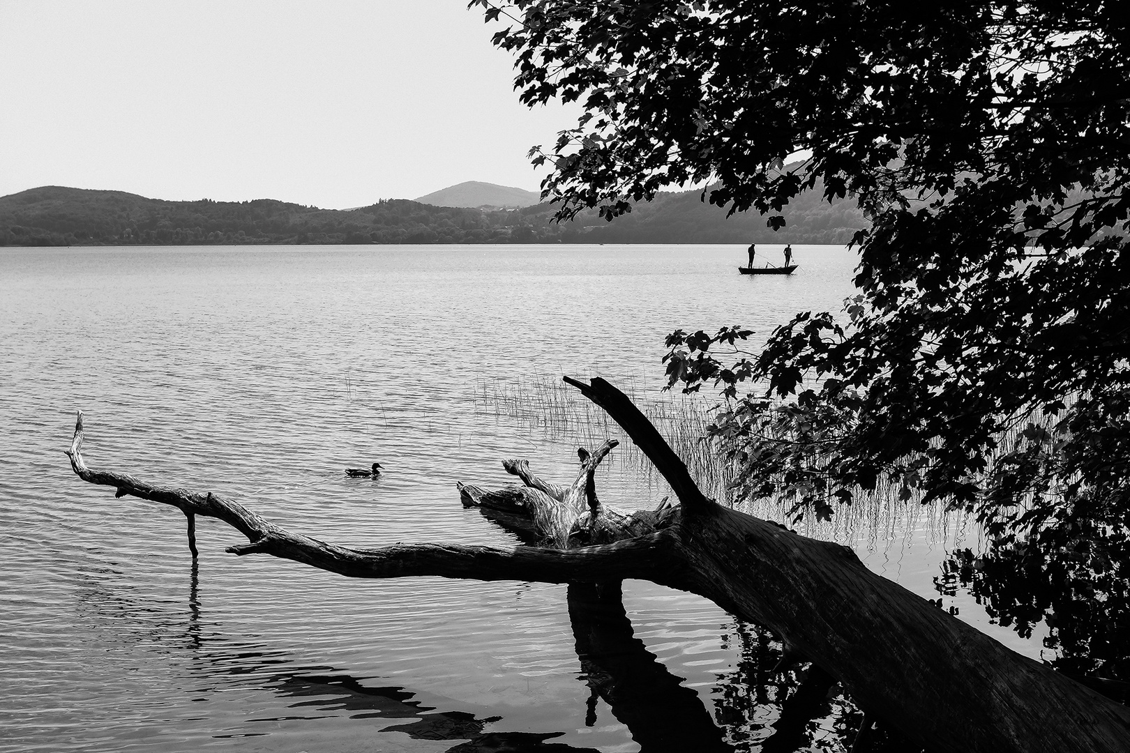 Laacher See 