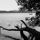 Laacher See 