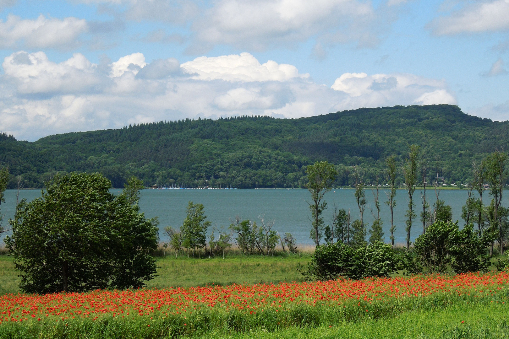 Laacher See