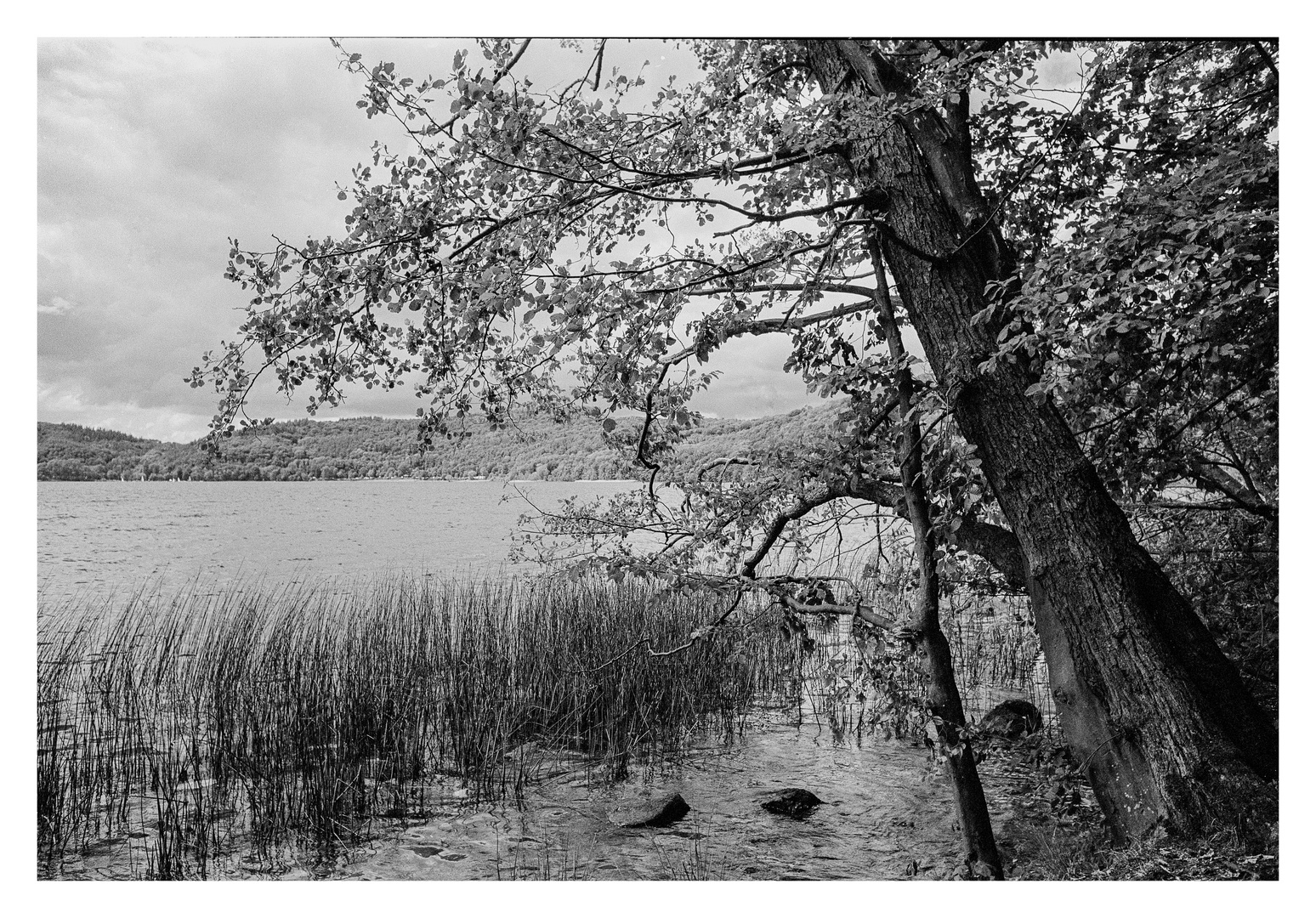 Laacher See