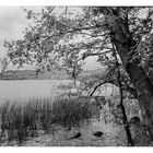 Laacher See