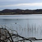 Laacher See