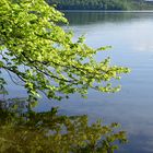 Laacher See