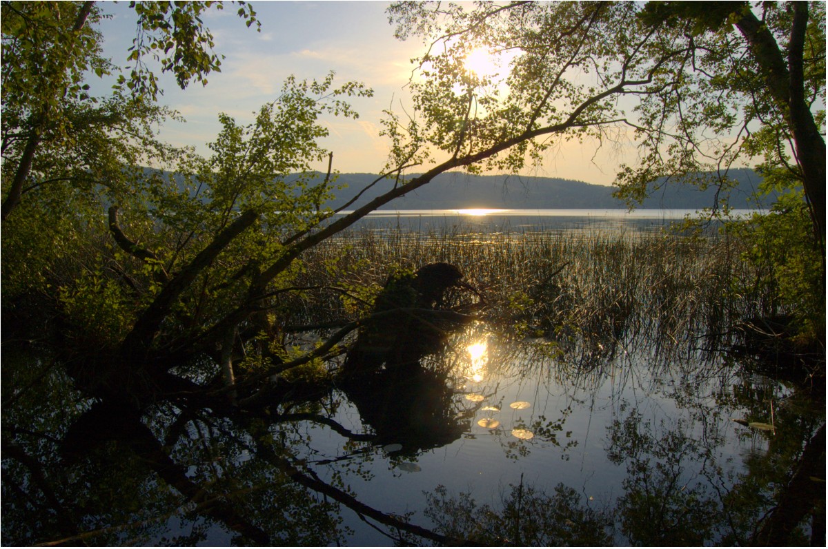 Laacher See